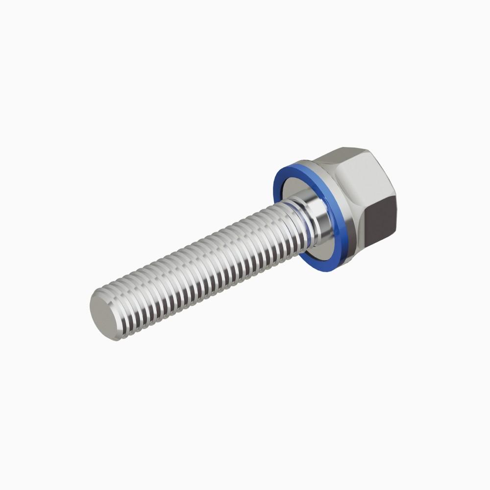 Certified hygienic screw|M | Accessories > Fasteners & Tools | Hygienic screw | Cover Image
