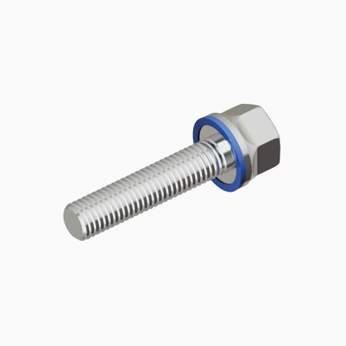 Products - Certified hygienic screw|M